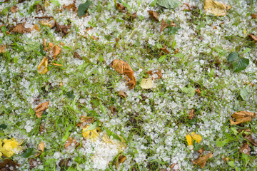 grass covered with hailstones after hailstorm