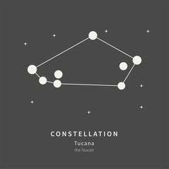 The Constellation Of Tucana. The Toucan - linear icon. Vector illustration of the concept of astronomy.