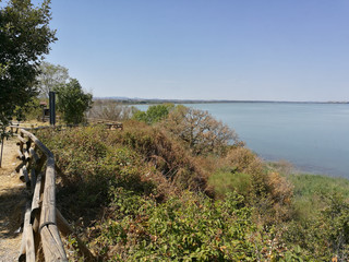 top view of the lake.