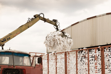 Greek seed cotton getting unloaded in the ginning mill