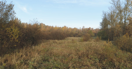 Aerial view over autumn rural landscape with field and forest in the morning