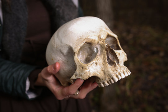 a plaster skull