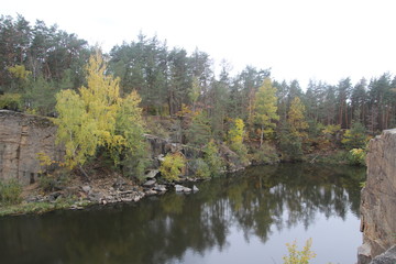 lake in the forest