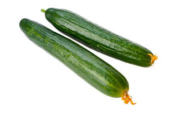 long ripe cucumbers isolated on white background