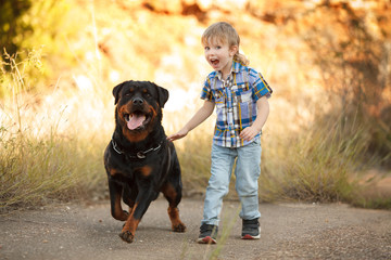 best friends boy and big dog breed Rottweiler for a walk having fun together