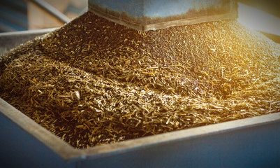 Production of rapeseed oil, processing of oilseed rapeseed, supply of rapeseed oil seeds to the cold pressing press, close-up, industry - obrazy, fototapety, plakaty