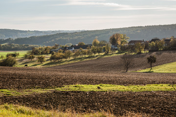 Fototapeta na wymiar Herbstlandschaft im Burgenland (A)