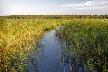 Cane beach is a freshwater pond