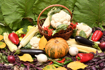 Autumn fresh vegetables