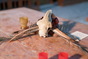 Teschio di Capra Abbandonato Urbex Horror