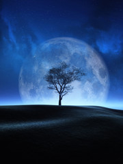 Fototapeta na wymiar 3D tree against a moon night sky