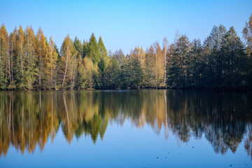 Fototapeta na wymiar nature reflections in clear water in lake or river at countryside