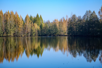 Obraz premium nature reflections in clear water in lake or river at countryside
