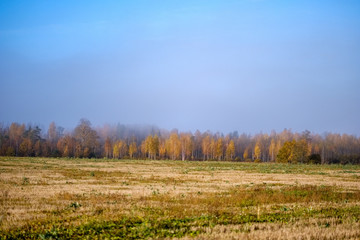 empty field in late autumn