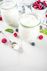Two portion of yogurt with berries