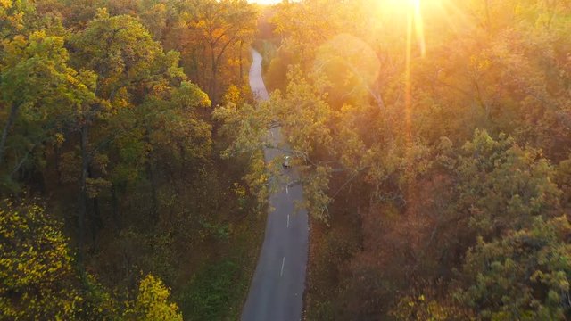 Aerial view on car driving through autumn forest road. Scenic autumn landscape