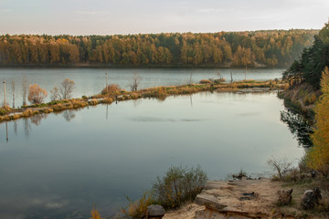 reflection of trees in water