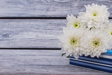 Beautiful autumn chrysanthemums and gift box. Gift box with bouquet of white flowers on rustic wood and copy space.