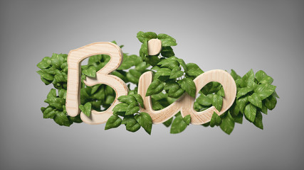 Wooden logo bio with leaves around 3d rendering