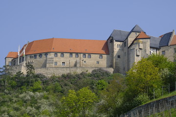 Fototapeta na wymiar Herzoglicher Weinberg unterhalb von Schloss Neuenburg bei Freyburg, Burgenlandkreis, Sachsen-Anhalt, Deutschland.....