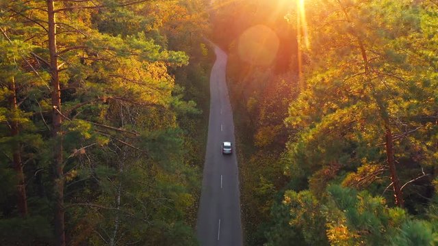 Aerial view on car driving through autumn forest road. Scenic autumn landscape