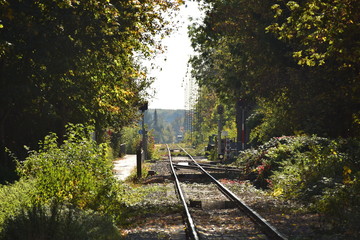 Eisenbahngleise in der Herbstsonne