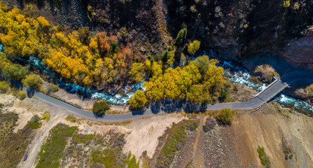 Autumn drone aerial shot