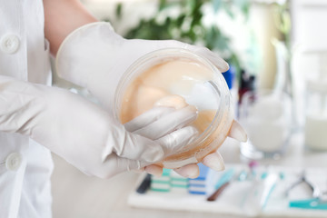 Kosmetyczka w rękawiczkach jednorazowych nabiera białego balsamu do ciała z pojemnika - obrazy, fototapety, plakaty