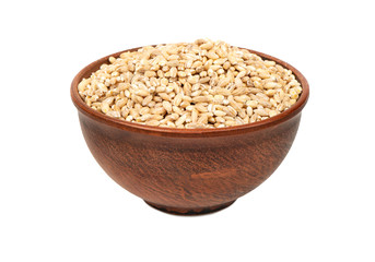 Barley groats in bowl