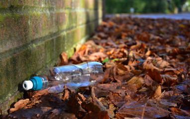 Discarded plastic bottle in fallen leaves at the base of a brick wall in the autumn