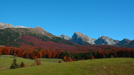 the beautiful colors of the mountains is a beautiful sunny autumn day