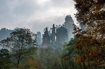 Zhangjiajie National Forest park