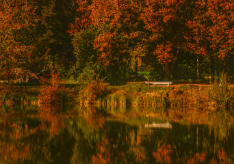 Bank am herbstlichen See