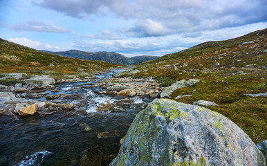 highland mountain stream at dovrefjell norway