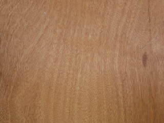 wood texture background