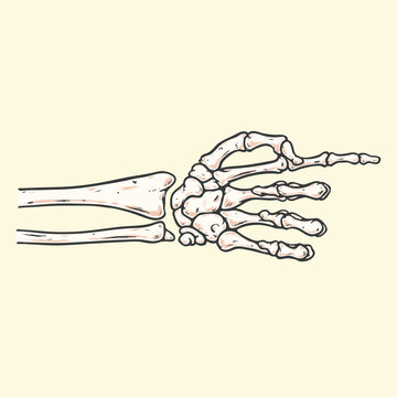 Pointing Hand Sign, Skeleton Hand, Vector Illustration