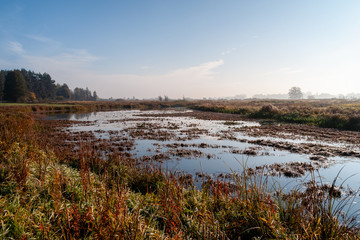 Jesień w Dolinie Górnej Narwi - Podlasie - Polska © podlaski49