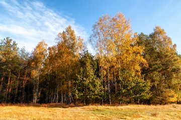 Jesień w Krainie Górnej Narwi - Podlasie - Polska © podlaski49