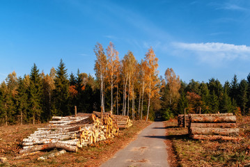 Jesień w Krainie Górnej Narwi - Podlasie - Polska
