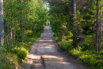 A road through a bog planked on Anzersky Island, Arkhangelsk Region, Russia