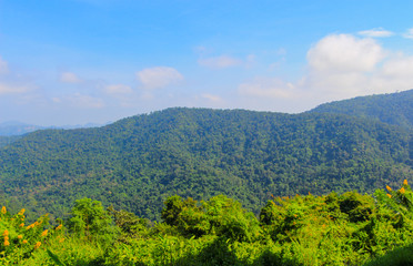 Naklejka na ściany i meble Green forest mountain with blue sky views at Khao yai national park Thailand