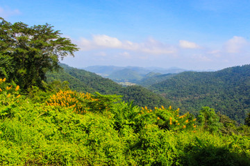 Green forest mountain with blue sky views at Khao yai national park Thailand