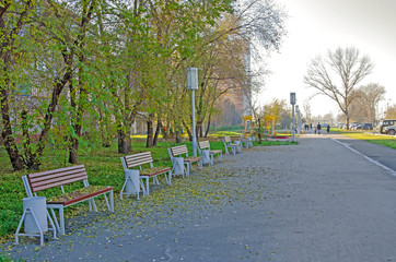 Autumn, pedestrian alley (sidewalk) with benches, in the city, not far from the road. Russia