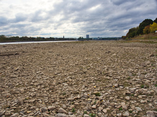 Rheinufer bei Bonn 