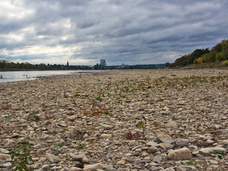Rheinufer bei Bonn 