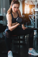 Fototapeta premium Young Beautiful woman exercising with weight in the gym.