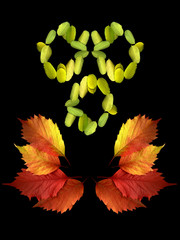 Demons of the Autumn. Autumn colorful leaves on a black background.