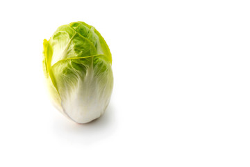 Endive standing with plenty of copy space. Endive isolated on white.