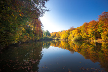 Autumn in the forest. Fall scene with forest lake in Bakony Forest and Mountain, Pisztrangos Lake, Hungary