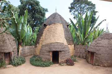 Traditional elephant-shaped huts made of wood and straws in Dorze Village, Ethiopia.